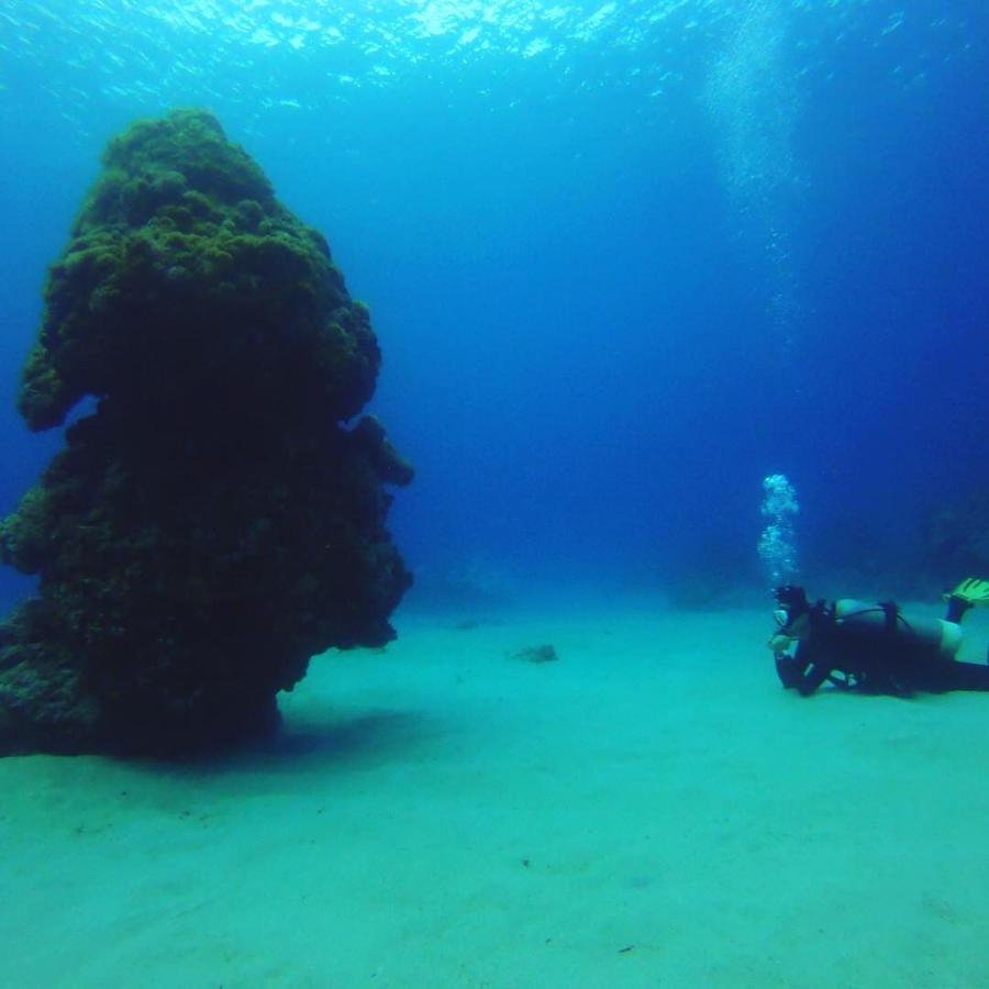 Green Island Good Sound מראה חיצוני תמונה